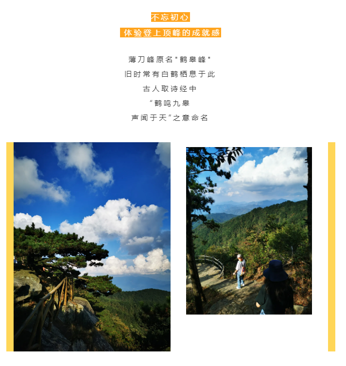 秋天了，來(lái)一場(chǎng)成年人的秋游吧(圖2)