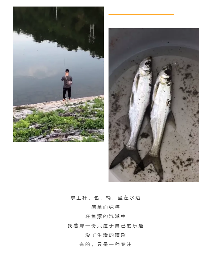 秋天了，來(lái)一場(chǎng)成年人的秋游吧(圖5)