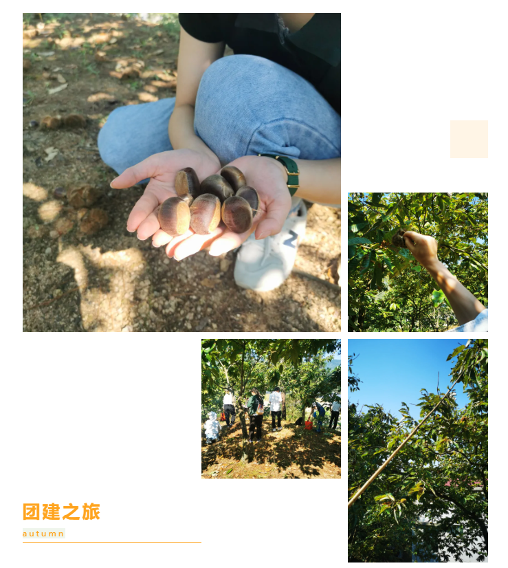 秋天了，來(lái)一場(chǎng)成年人的秋游吧(圖6)